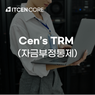 Cen’s TRM (자금부정통제) 사진