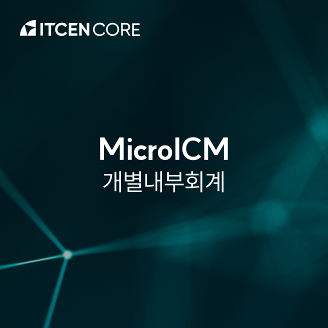MicroICM (개별내부회계)  사진